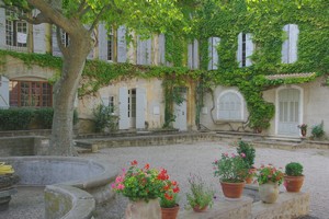 Le château du lys