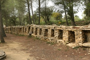 mur d'abeilles