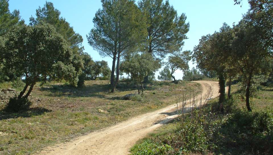 Randonnées à Cornillon-Confoux